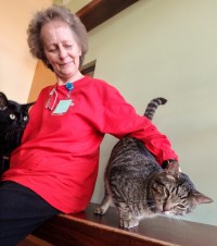 Volunteer orientation - Grandma with a gray cat