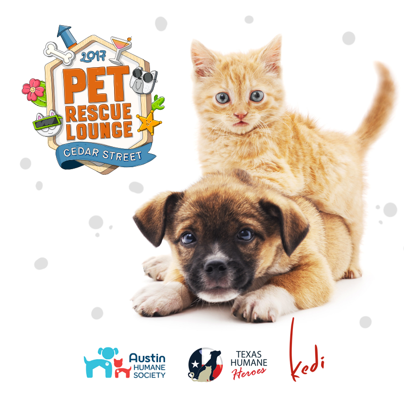 SXSW Pet Rescue Lounge - Kitten & Puppy