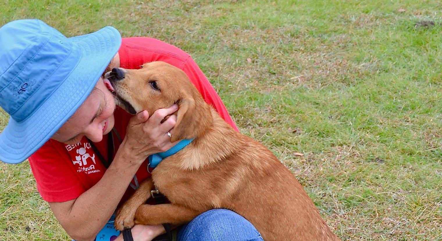 Happy dog licking volunteer's face